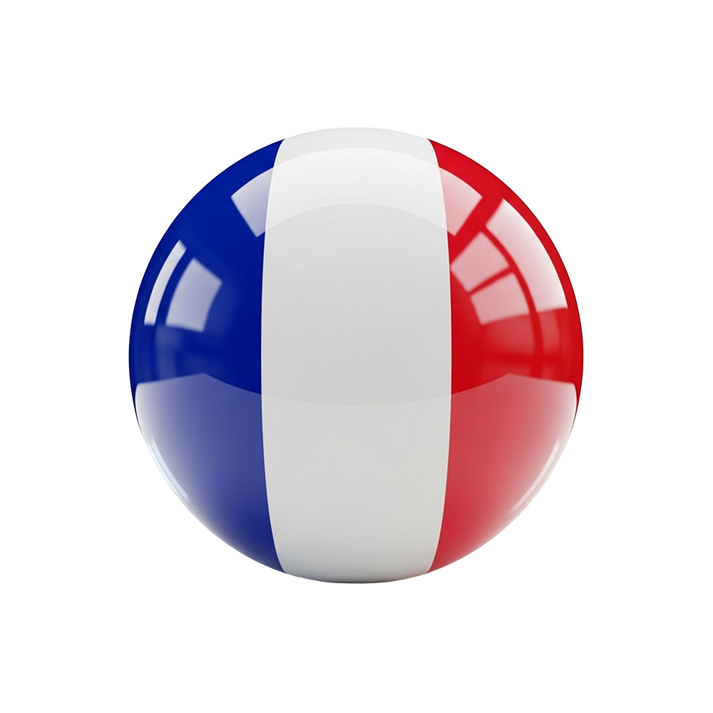 France Flag